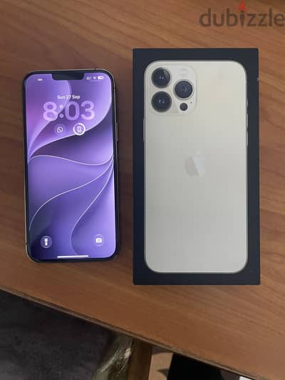 Apple - iPhone 13 Pro Max