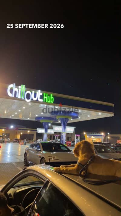 كلب كوكر