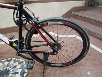 Trinx Tempo 1.4