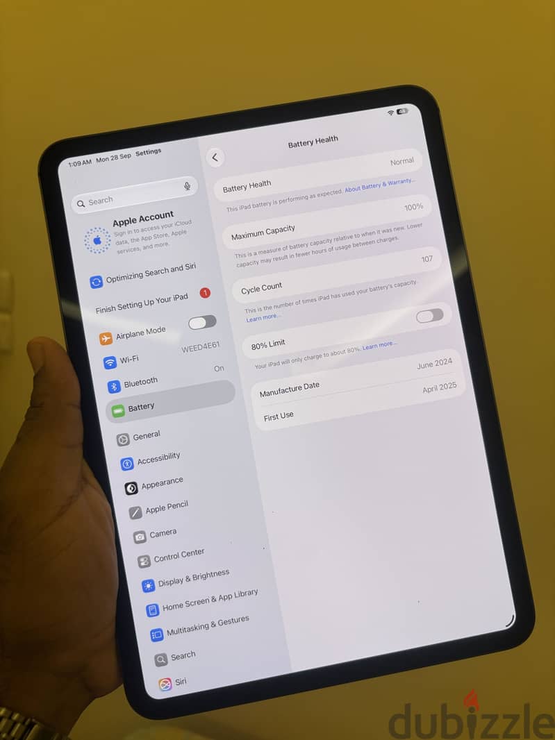 Ipad pro m4 2