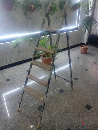 عاطف محمود عامر