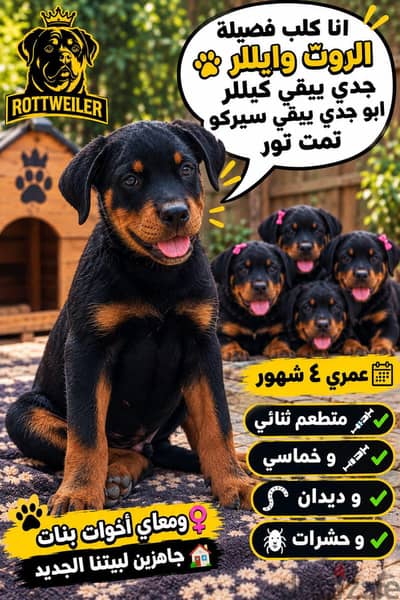 جراوى روت اهالي ابطال الان سن مساخه 4شهور كافه التطعيمات