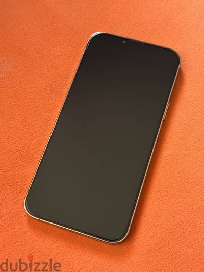 Apple - iPhone 13 Pro Max