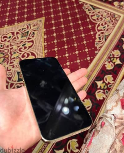 Apple - iPhone 12 Pro Max