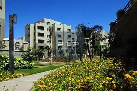 بالسعر القديم ستوديو للايجار متشطبة بالكامل جاهزة للسكن والمعاينة في كمبوند فيلدج جيت بالم هيلز التجمع الخامس
