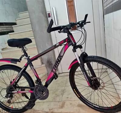 Mountain bicycle