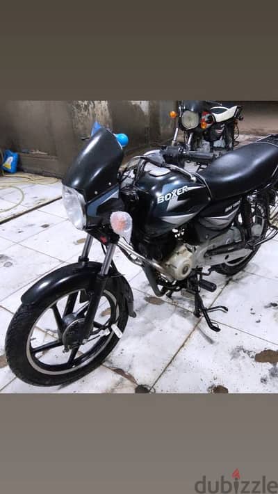 Boxser 150