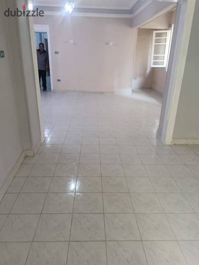 Special offers for unique cats for rent in Egypt at the best prices with the highest finishes