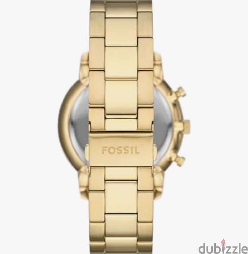 Fossil 1