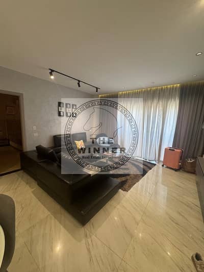 Fully furnished 1BR for rent in hyde park