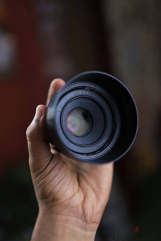 Canon 50mm Stm f1.8 3