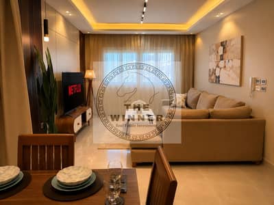 Luxury furnished apartment for rent in mountain view hyde park