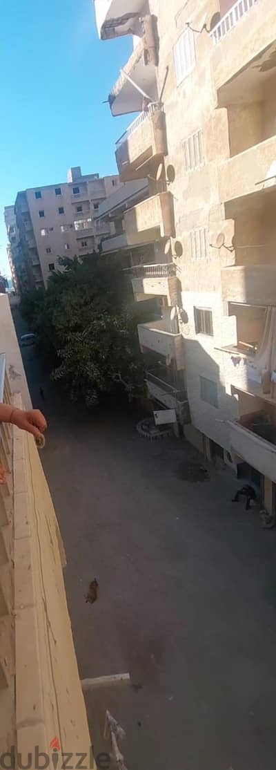 شقة بالهانوفيل تري البحر