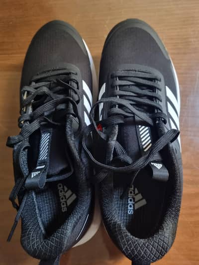 adidas shoes water proof (mirror)