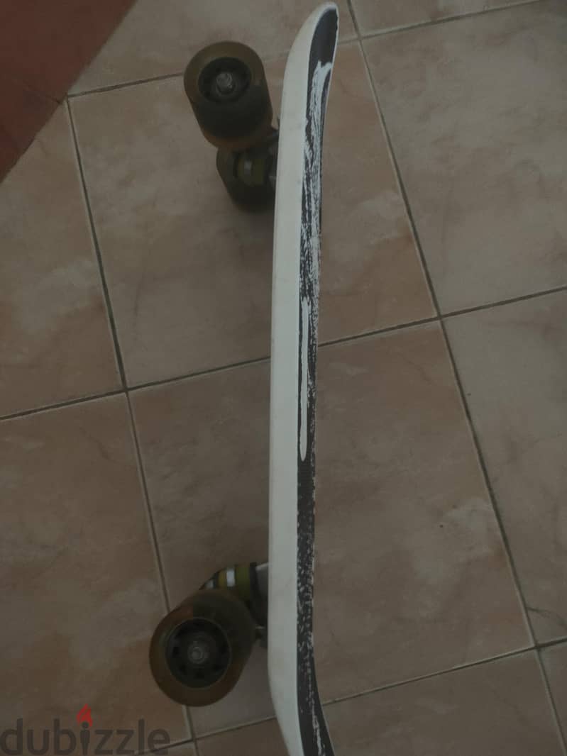 skate board 2
