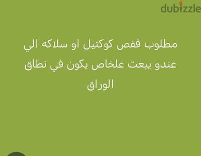 مطلوب قفص كوكتيل