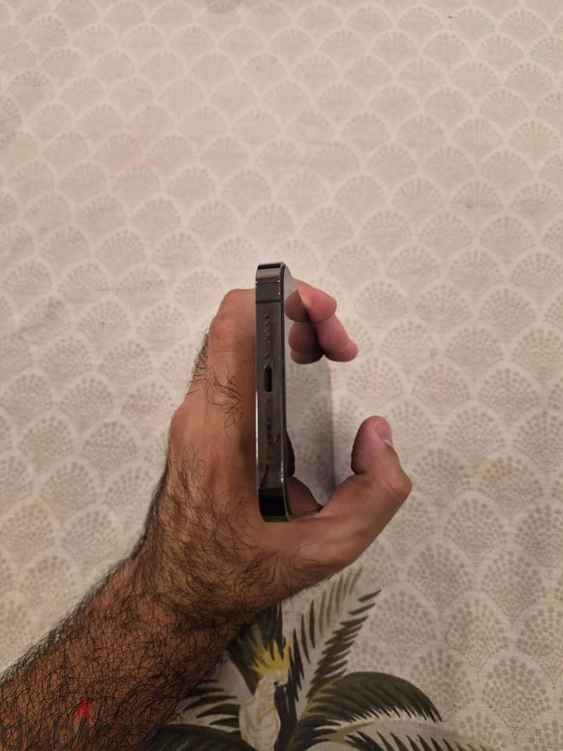 Apple - iPhone 13 Pro Max 1