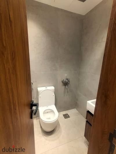 Apartment for rent in Sheikh Zayed Compound The Address Ground furnished very special price