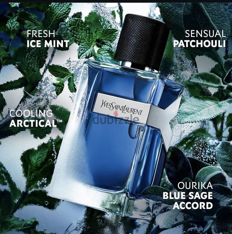 Y Iced cologne from YSL 1