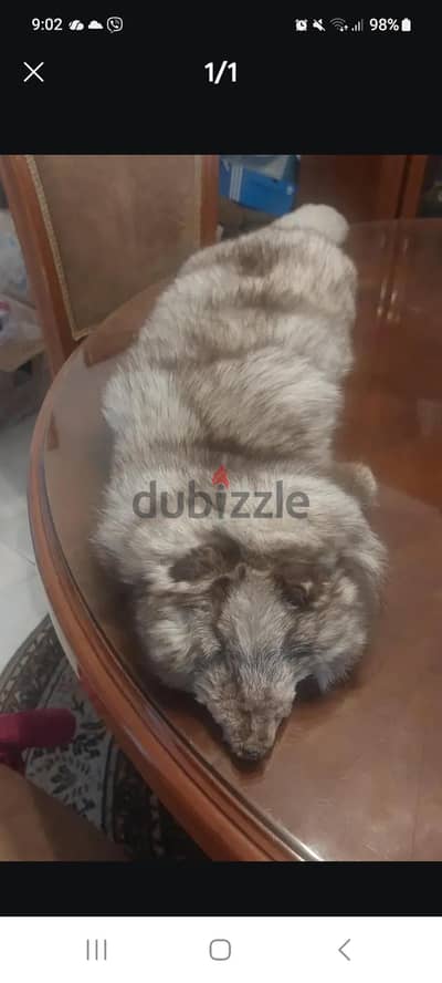 fur original