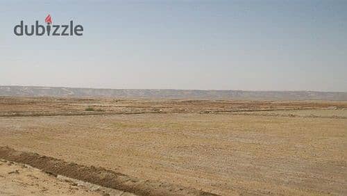 داخل مدينه بدر