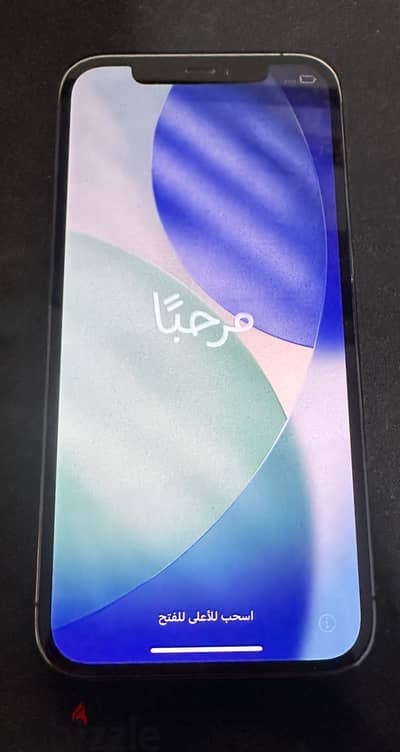 Apple - iPhone 12 Pro