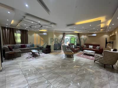 Furnished  apartment for rent in Mohandessin, Syria Street