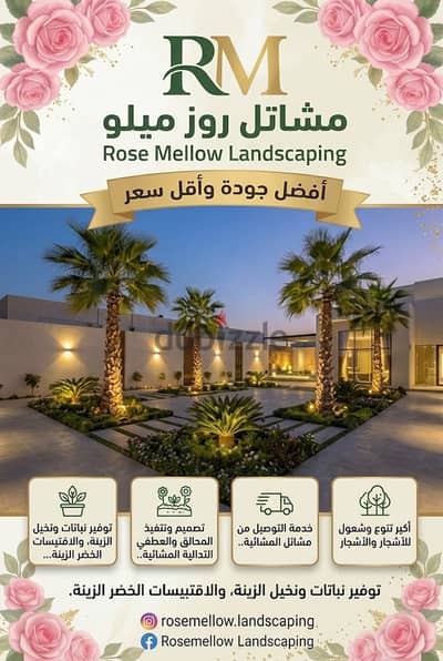 مشاتل روز ميلو | توريد أشجار ونباتات ونخيل وتصميم حدائق وفيلات
