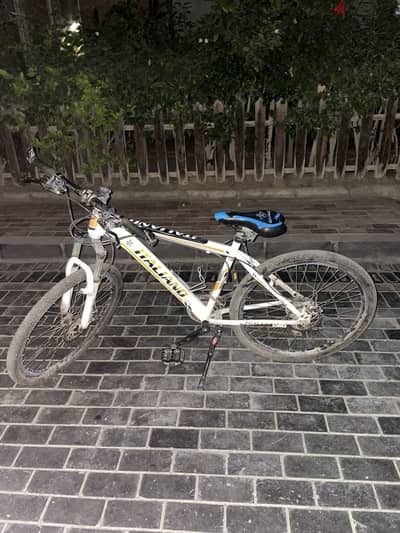 Italiano bicycle