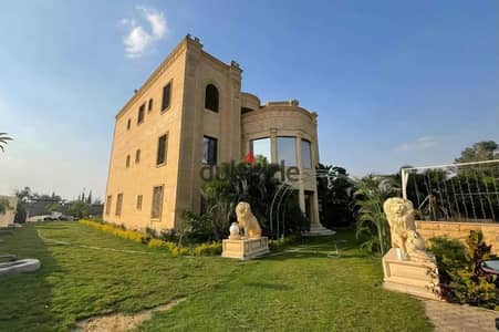 Luxury Palace for Sale 6000m² on Line 10 Old El Obour City - World-Class Specs & Private Pool
