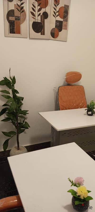 Furnished Office for Rent 300 m in Heliopolis