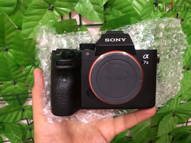 Camera Sony A7iii 1