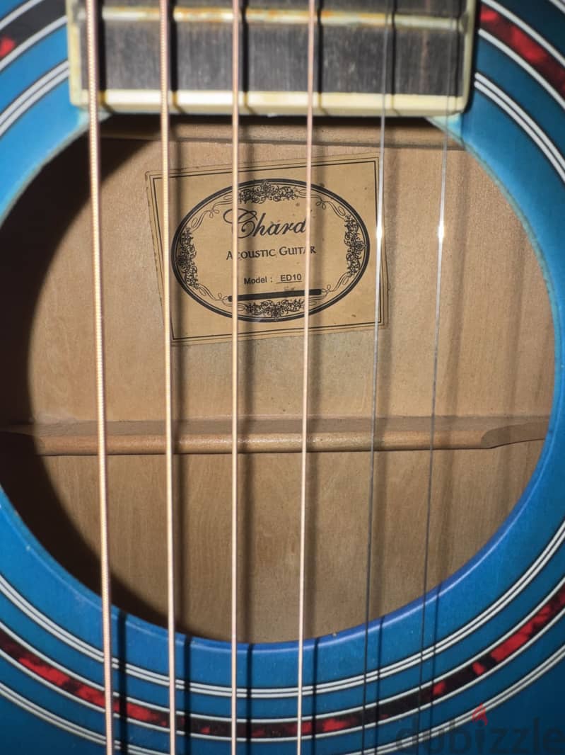Cort acoustic guitar 2