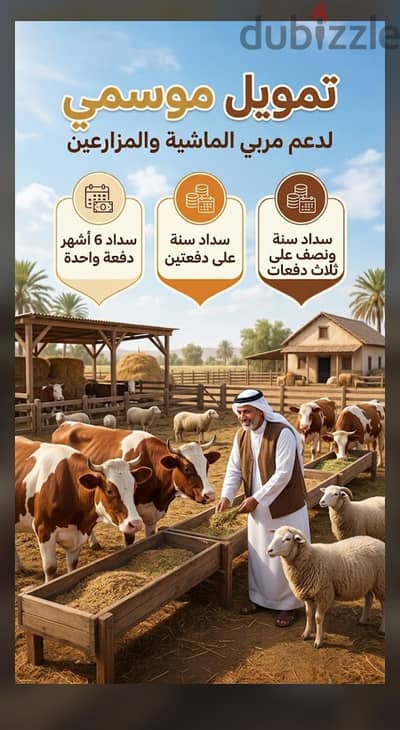 تمويل مشروعات