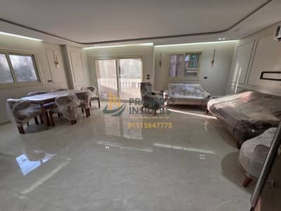 Apartment for rent, 190 sq m, in Manial El Rawda