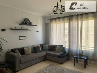 Apartment Ready To Move Fully Furnished with Lowest Price in The Village Compound