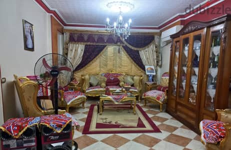 شارع المطحن بجوار حديقه سفاري بارك  حاره مسجد المصطفي عند مكتبه عمرو