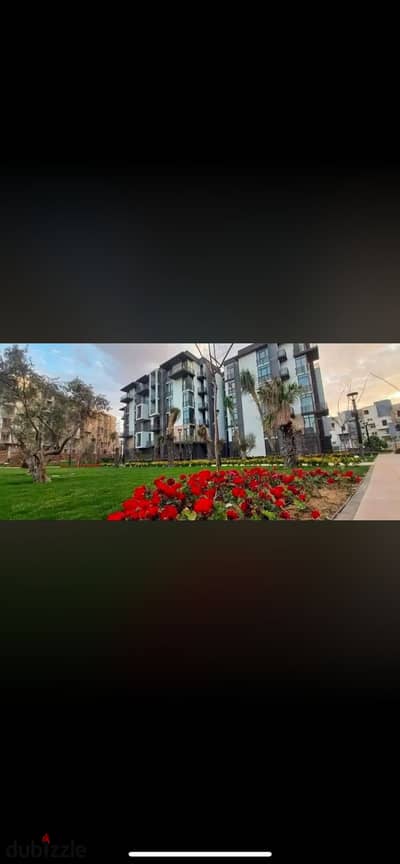 Studio 65 meters b8 contract 2022 sale in my city