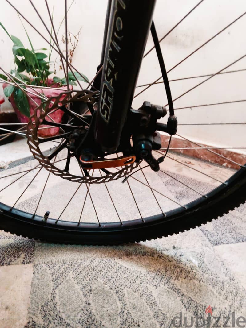 fuji bicycle 2