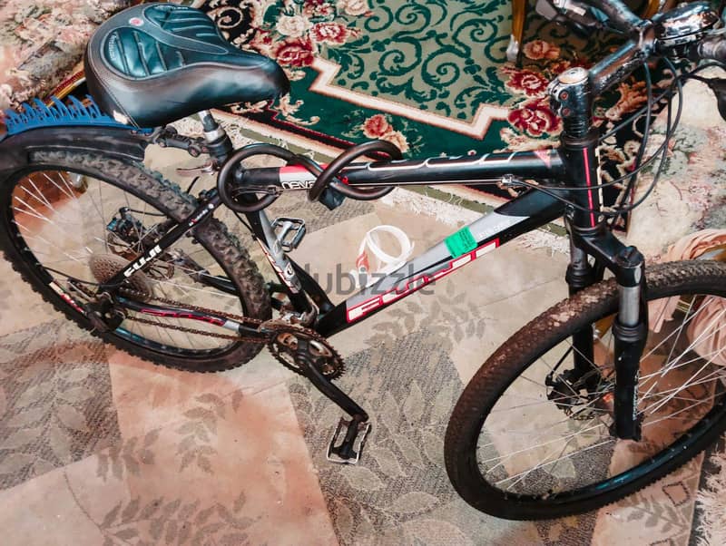 fuji bicycle 4