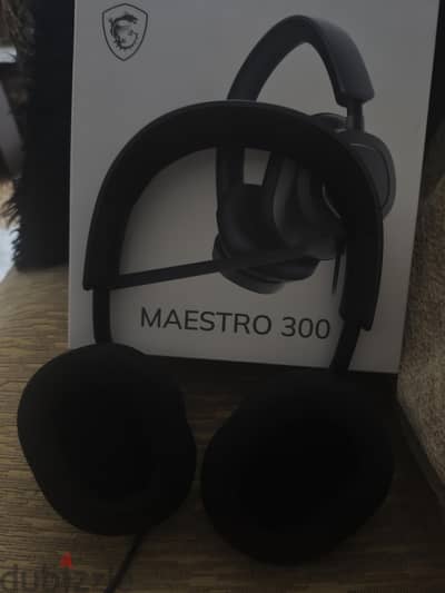 Msi maestro 300