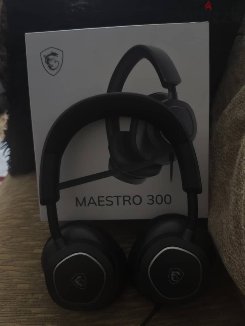 Msi maestro 300 1