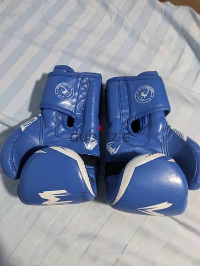 venom boxing gloves جلوڤز بوكسينج ڤينوم مقاس ١٠