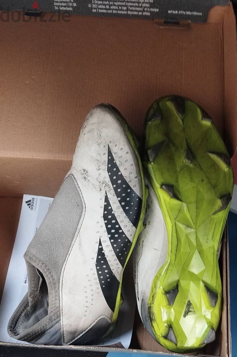 جزمه ستارز  اديداس اصلي Adidas predator accuracy 1
