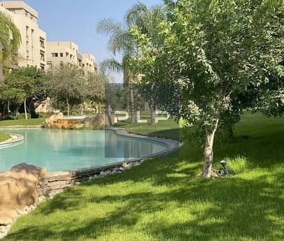 Apartment for Rent at a Special Deal Price