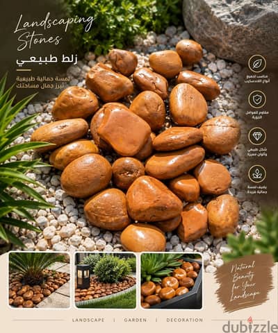 زلط بني محمر