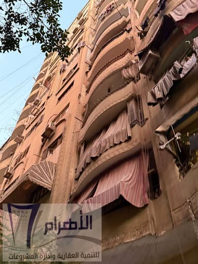Super Lux 200m in El-She Sheeni in Al-Miryotiya, Faisal for sale