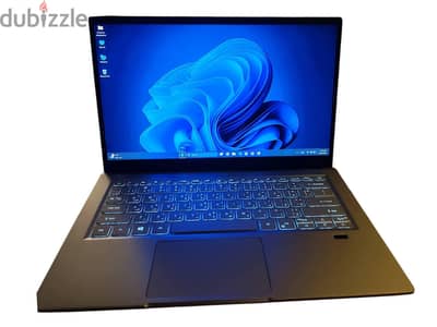Acer Swift X