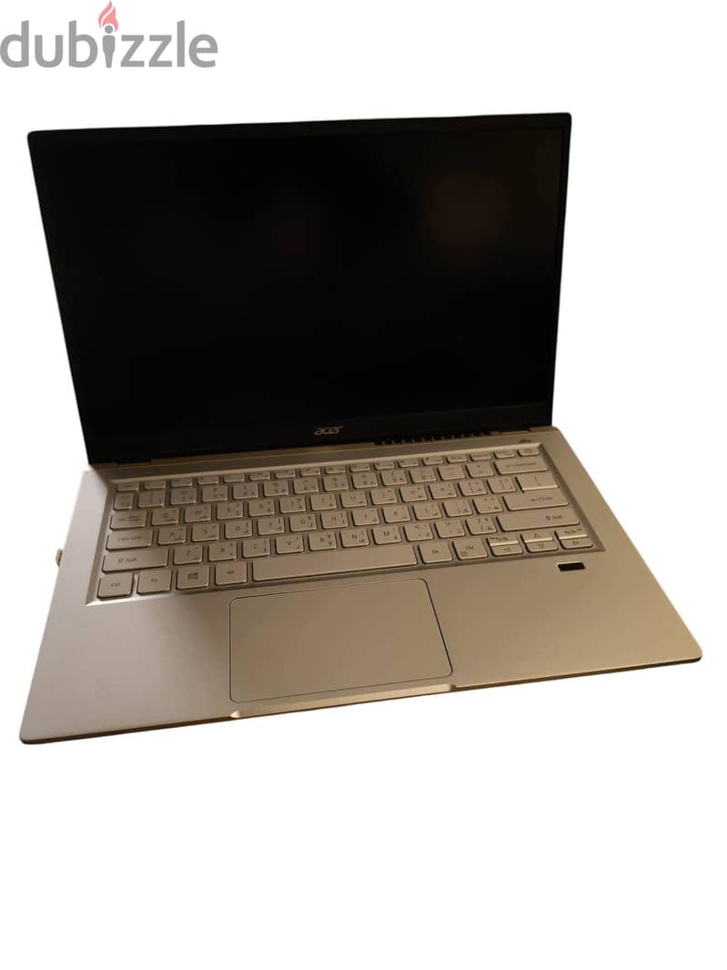 Acer Swift X 1