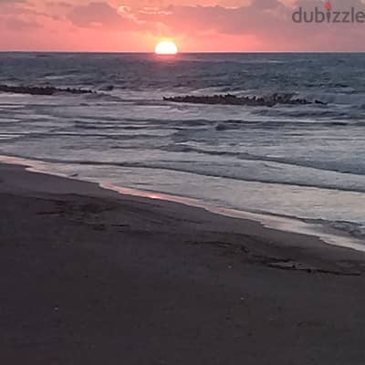 شقة للايجار فى العجمى شاطئ الزهور